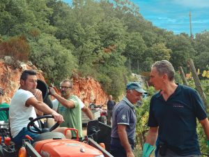 Minutolo. L'aromatico smascherato