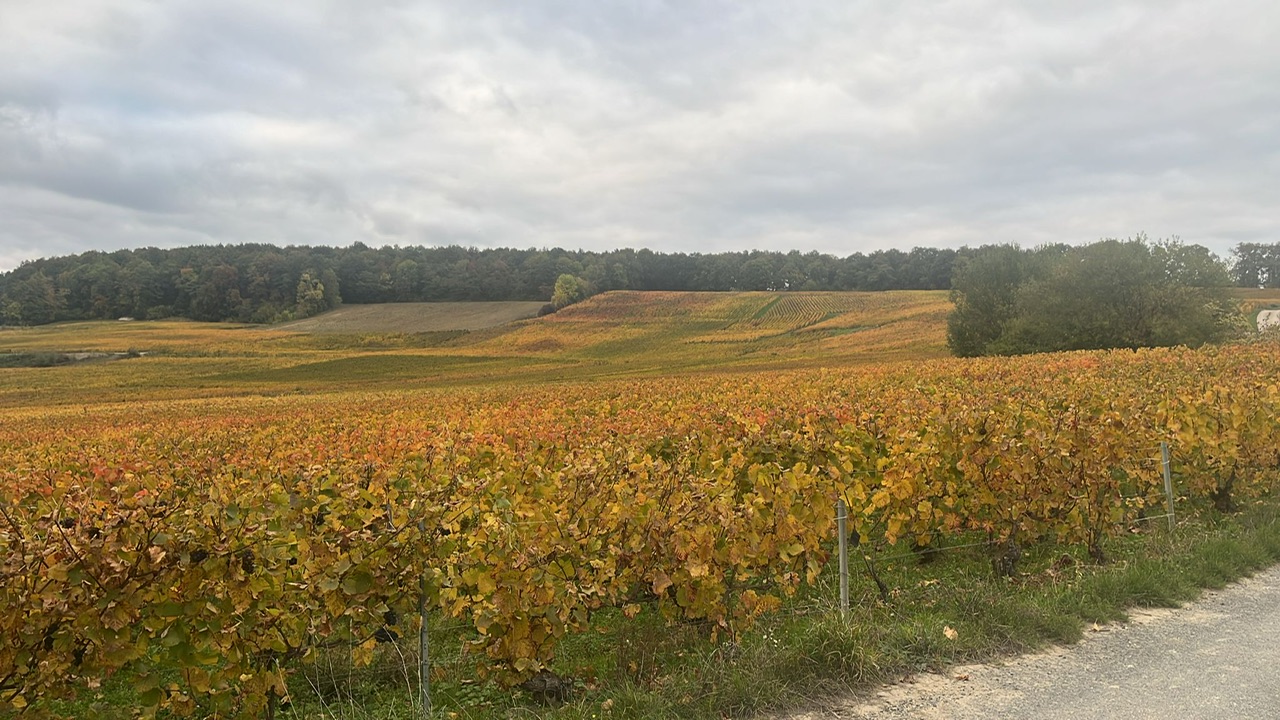 Champagne Augustin. Feu, Air, Terre: la Champagne vista attraverso gli elementi