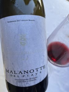 Il Raboso è il vino delle feste. La versatilità in un grappolo!