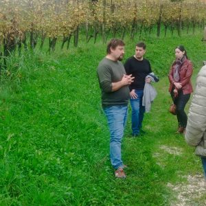 Collio Bianco da uve autoctone. Keber e Drius, i deus ex machina di un’idea che viene da lontano