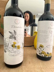 Il Raboso è il vino delle feste. La versatilità in un grappolo!