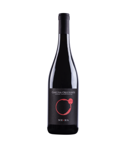 Cascina Orizzonte. Enrico e Riccardo, l’amicizia oltre l’orizzonte