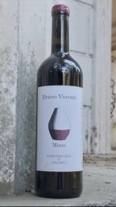 Bricco Visconti. Giorgio, la vita è adesso