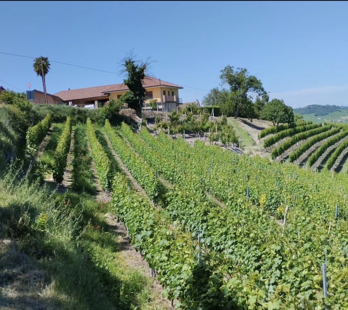 Cascina Orizzonte. Enrico e Riccardo, l’amicizia oltre l’orizzonte