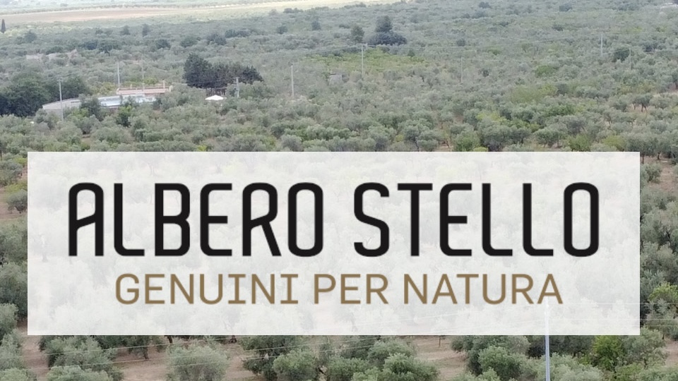 Albero Stello. Una visita che profuma di Puglia autentica