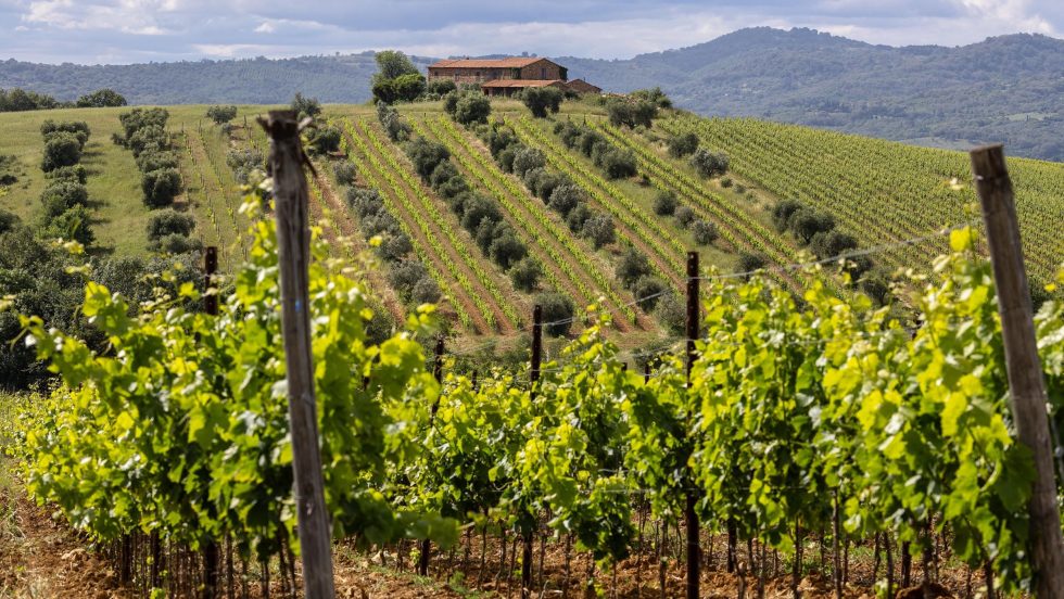Il 19 febbraio alla Fortezza da Basso il Chianti Lovers & Rosso Morellino