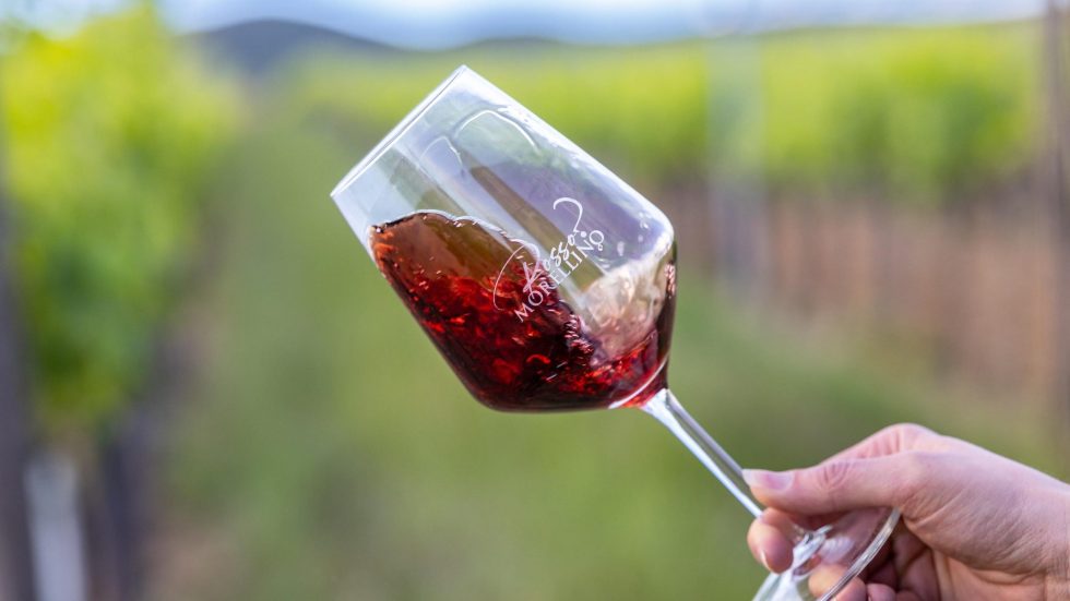 Morellino Scansano a Wine Paris 2026 con Chianti