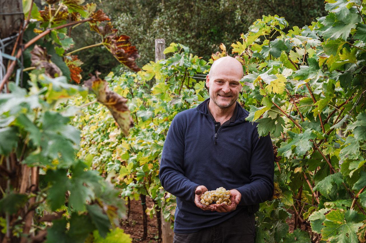 cantina sant'andrea e seguire le botti