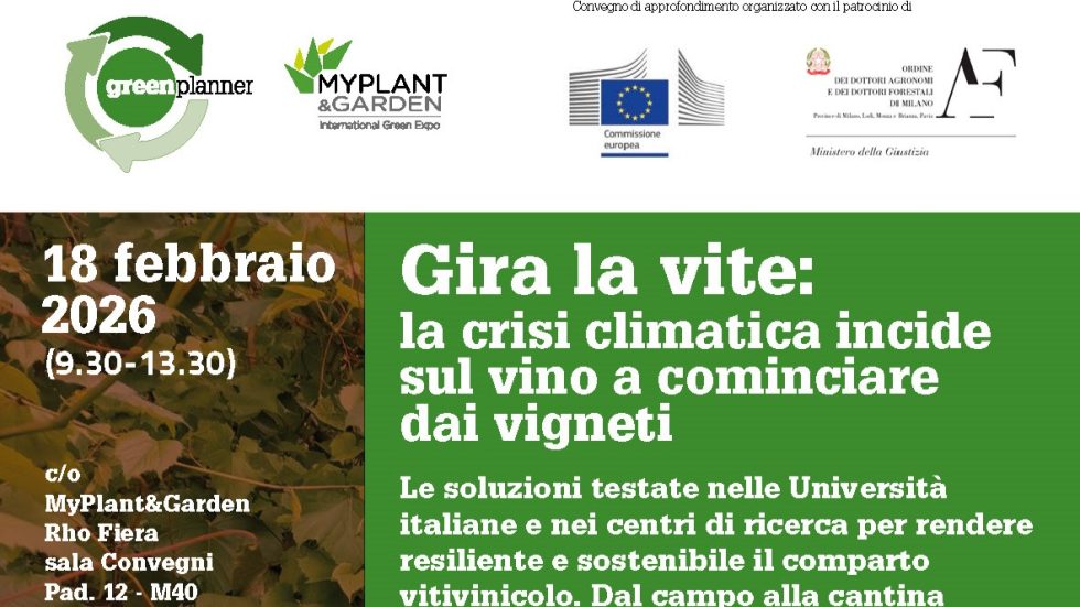 Crisi climatica e viticoltura: l’agronomo Stefano Amadeo