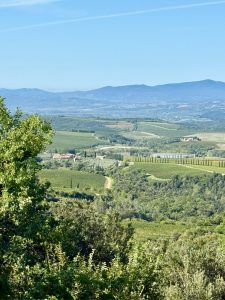 Tenuta Friggiali. Davide Peluso e il Brunello con la napoletanitudine
