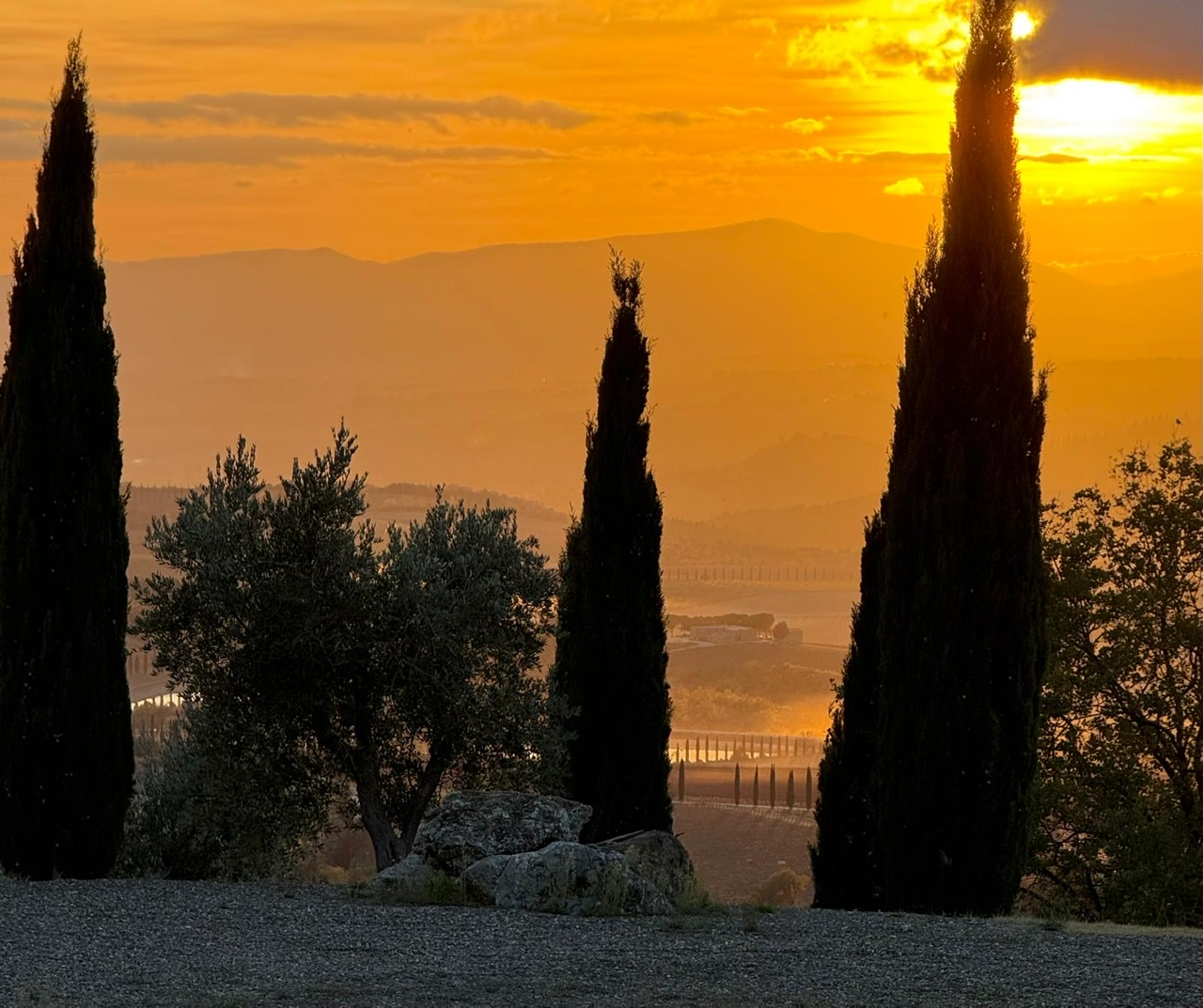 Tenuta Friggiali. Davide Peluso e il Brunello con la napoletanitudine