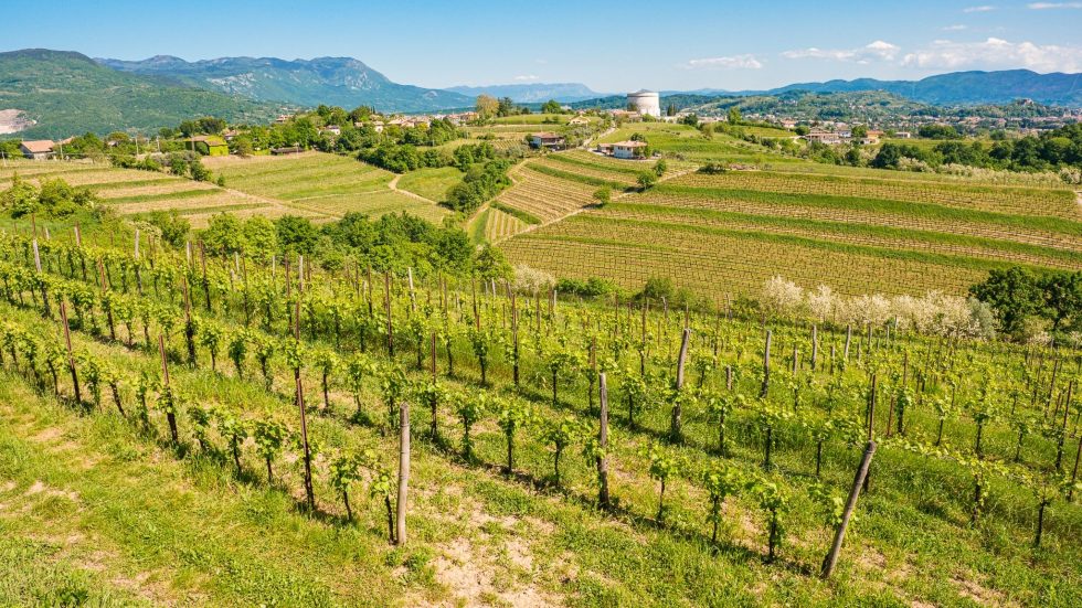 Collio Evolution 2026