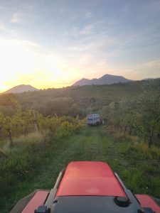 Vigne di Malies. Le bottiglie colme d’amore