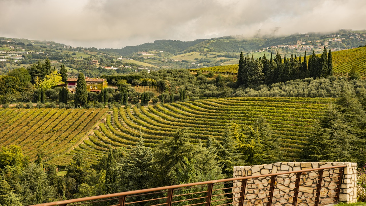 Costa Arènte. L’elegante finezza dell’Amarone e dei suoi fratelli in Valpantena
