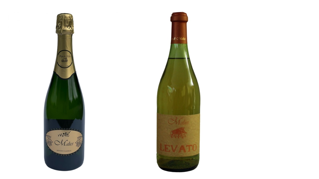 Vigne di Malies. Le bottiglie colme d’amore