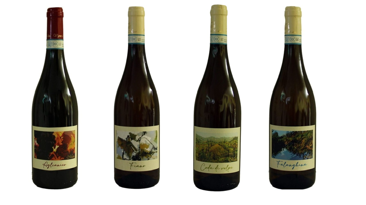 Vigne di Malies. Le bottiglie colme d’amore