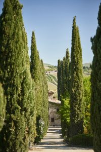Tommaso Cavalli e la Tenuta degli Dei