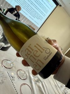 Due giorni con VINODABERE. #1: L'Italia del Sauvignon.