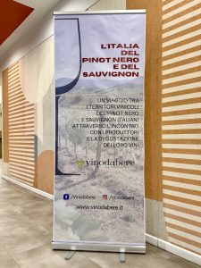 Due giorni con VINODABERE. #1: L'Italia del Sauvignon.
