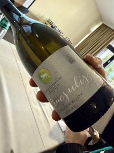 Due giorni con VINODABERE. #1: L'Italia del Sauvignon.