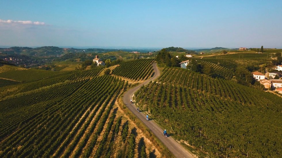 Monferrato: I Tre Consorzi protagonisti della Filiera Vitivinicola siglano Il Patto per il Futuro