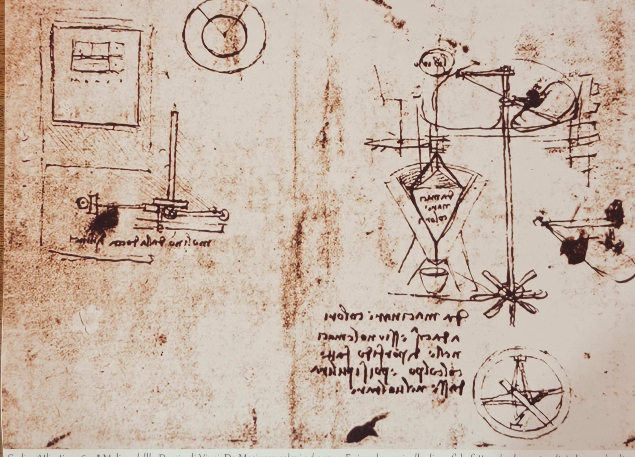 La Doccia di Vinci. Il coraggio di restare