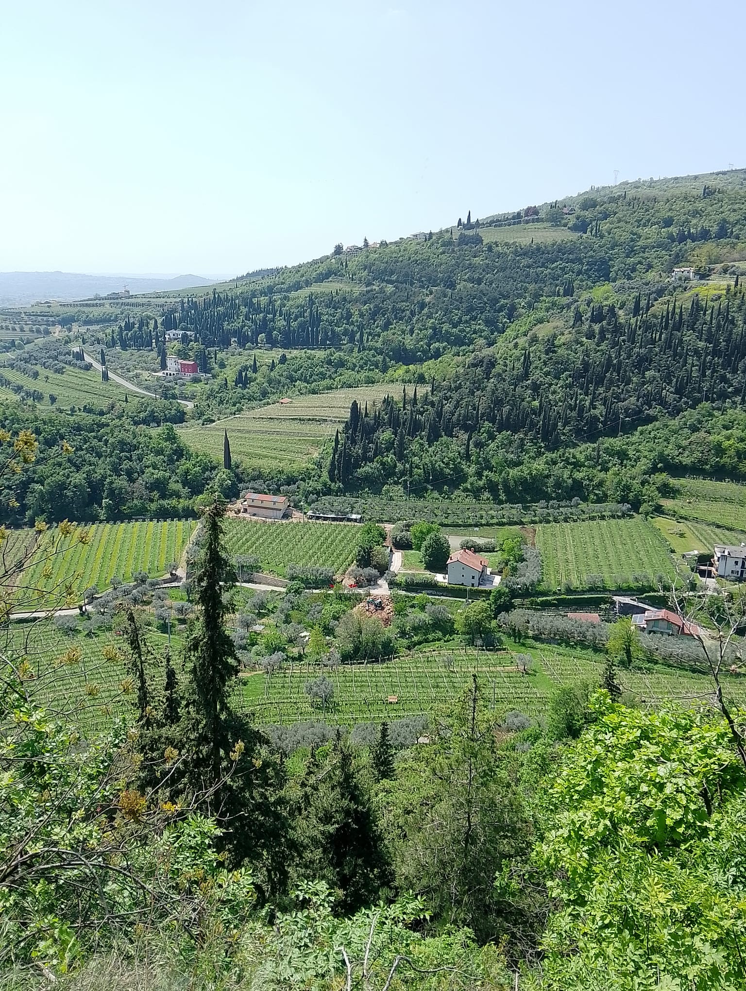Antica Valpolicella. Niccolò Dama: questa è la mia Porsche