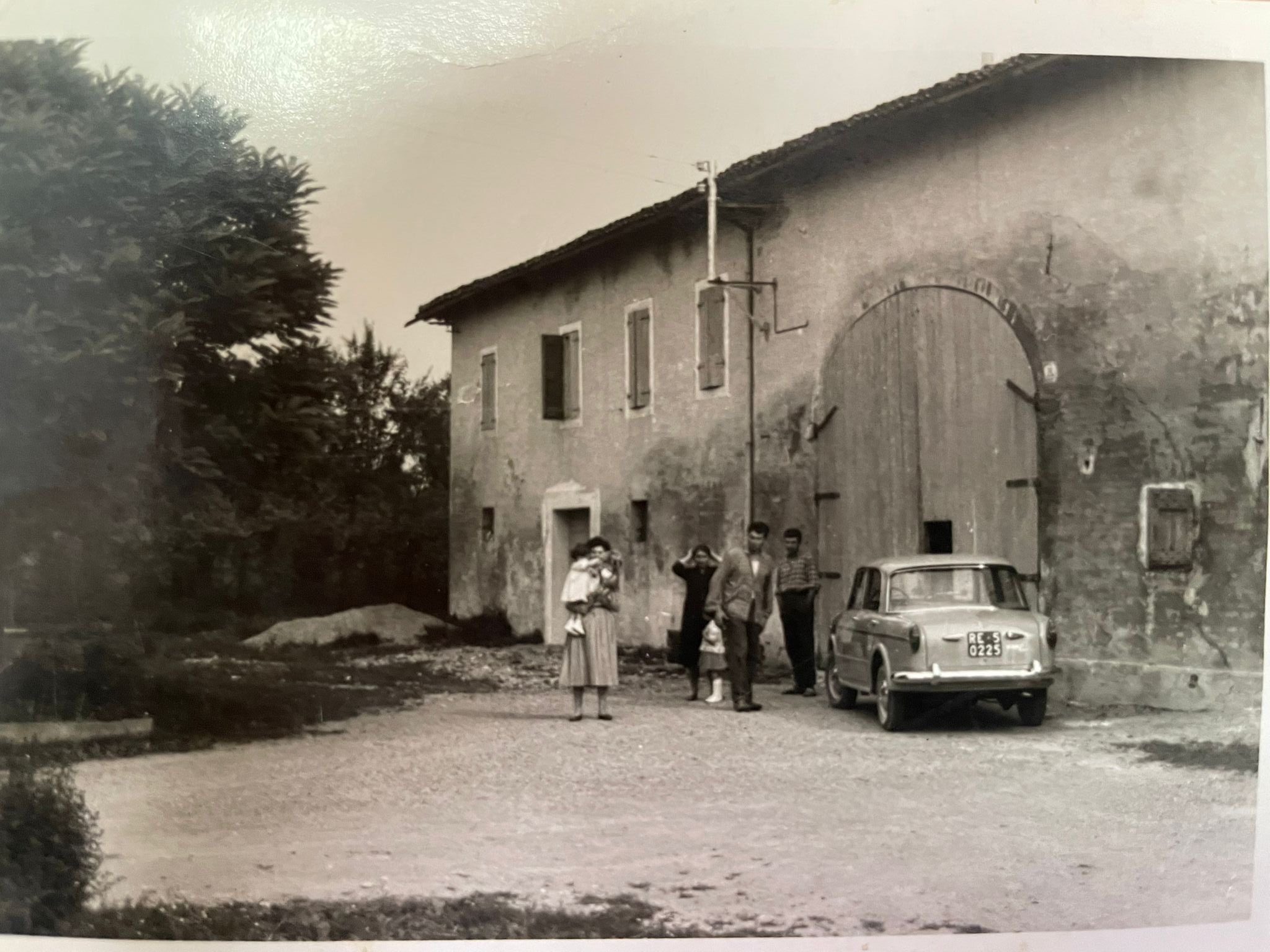 Cantina Messori. Elena, contro la corrente, con le radici