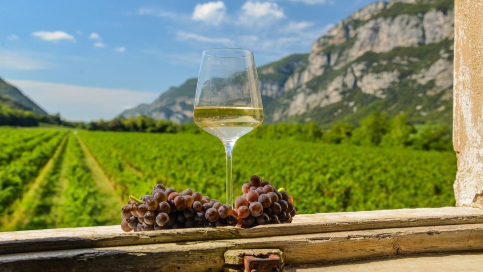 Il Pinot Grigio DOC Delle Venezie è Official Wine del Giro D’italia 2026