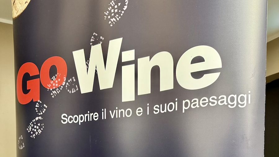 GoWine e Decanter Wine Academy. I vini delle grandi isole ma non solo.