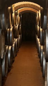 Cantina Sant’Andrea. Andrea Pandolfi: il vino, un atto di resistenza