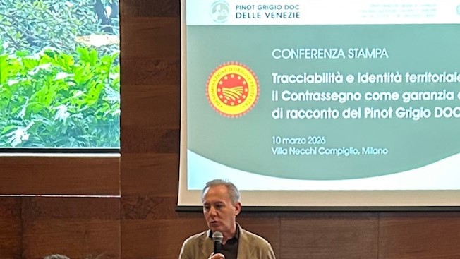 Pinot Grigio DOC Delle Venezie. Strategie di posizionamento