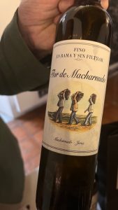 Santa Petronila. Il ritorno alle vigne perdute di Jerez