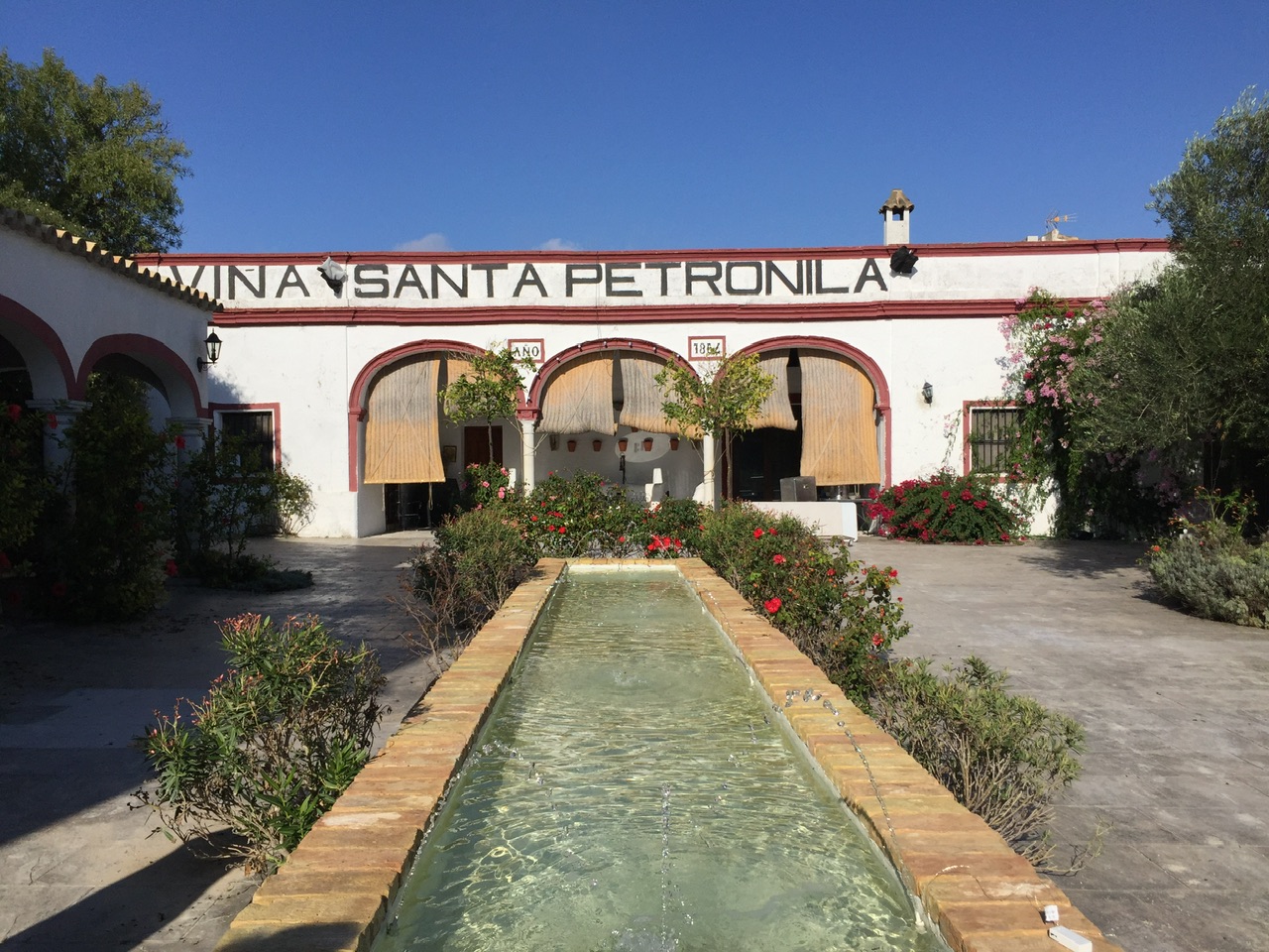 Santa Petronila. Il ritorno alle vigne perdute di Jerez