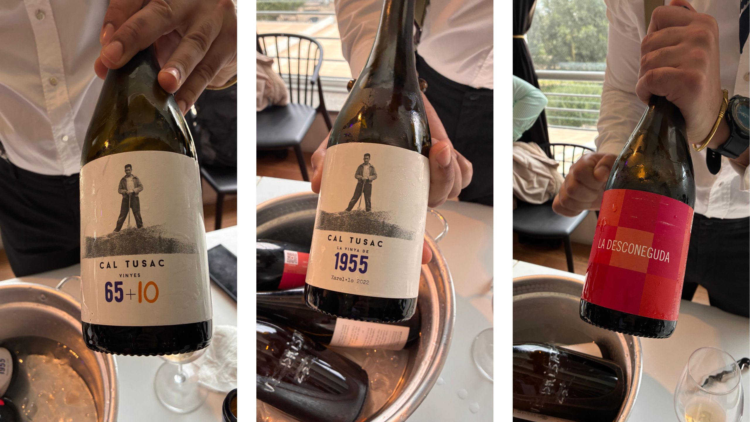 Il vino naturale secondo D'Alesio. Una ventata di fresca gioventù