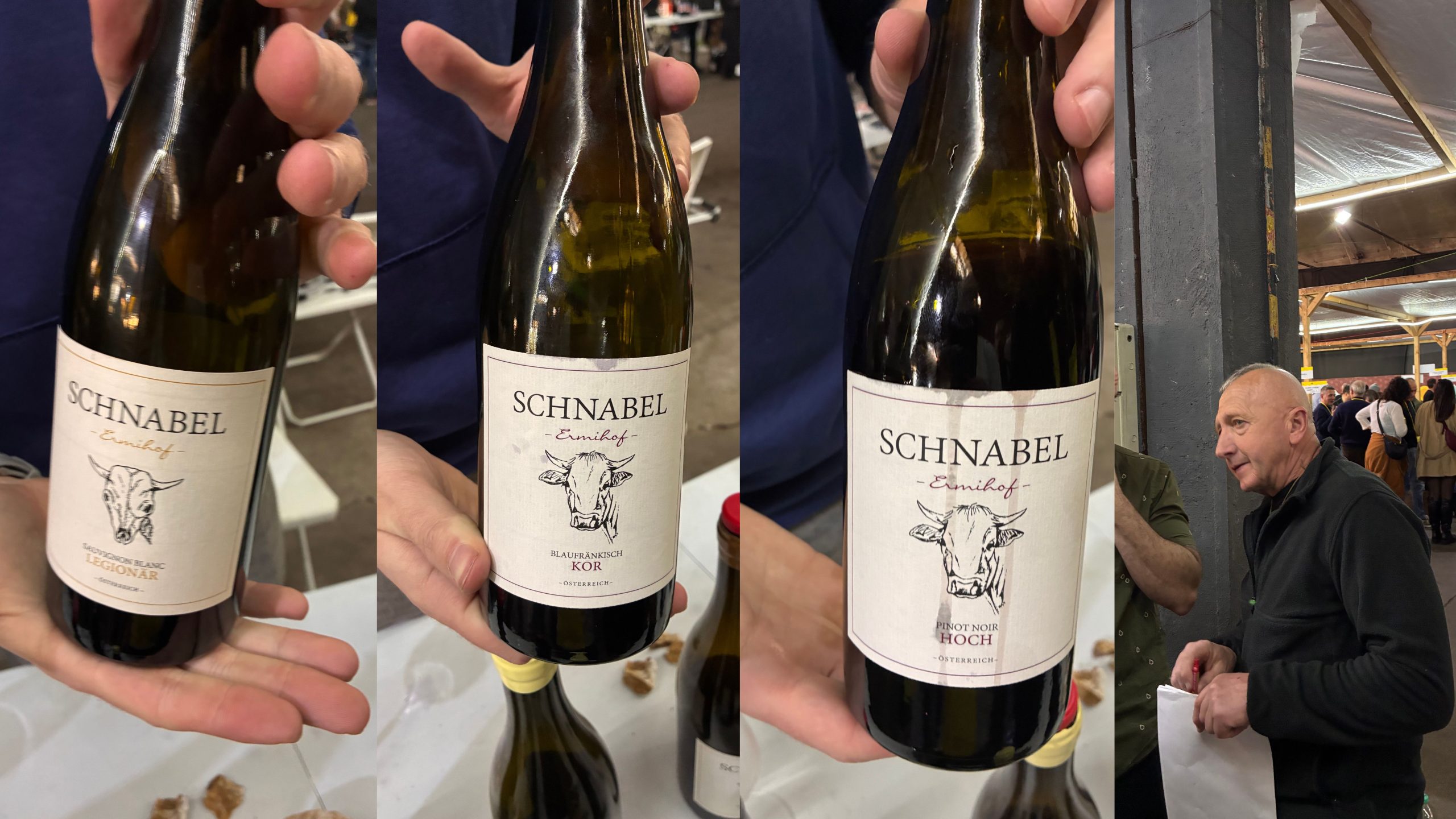 Vini Selvaggi. La rivoluzione gentile del vino tra le persone