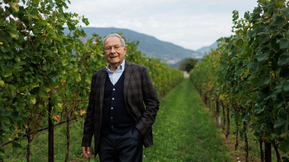 Pinot Noir del Re: l’eccellenza dell’Oltrepò Pavese secondo Masi