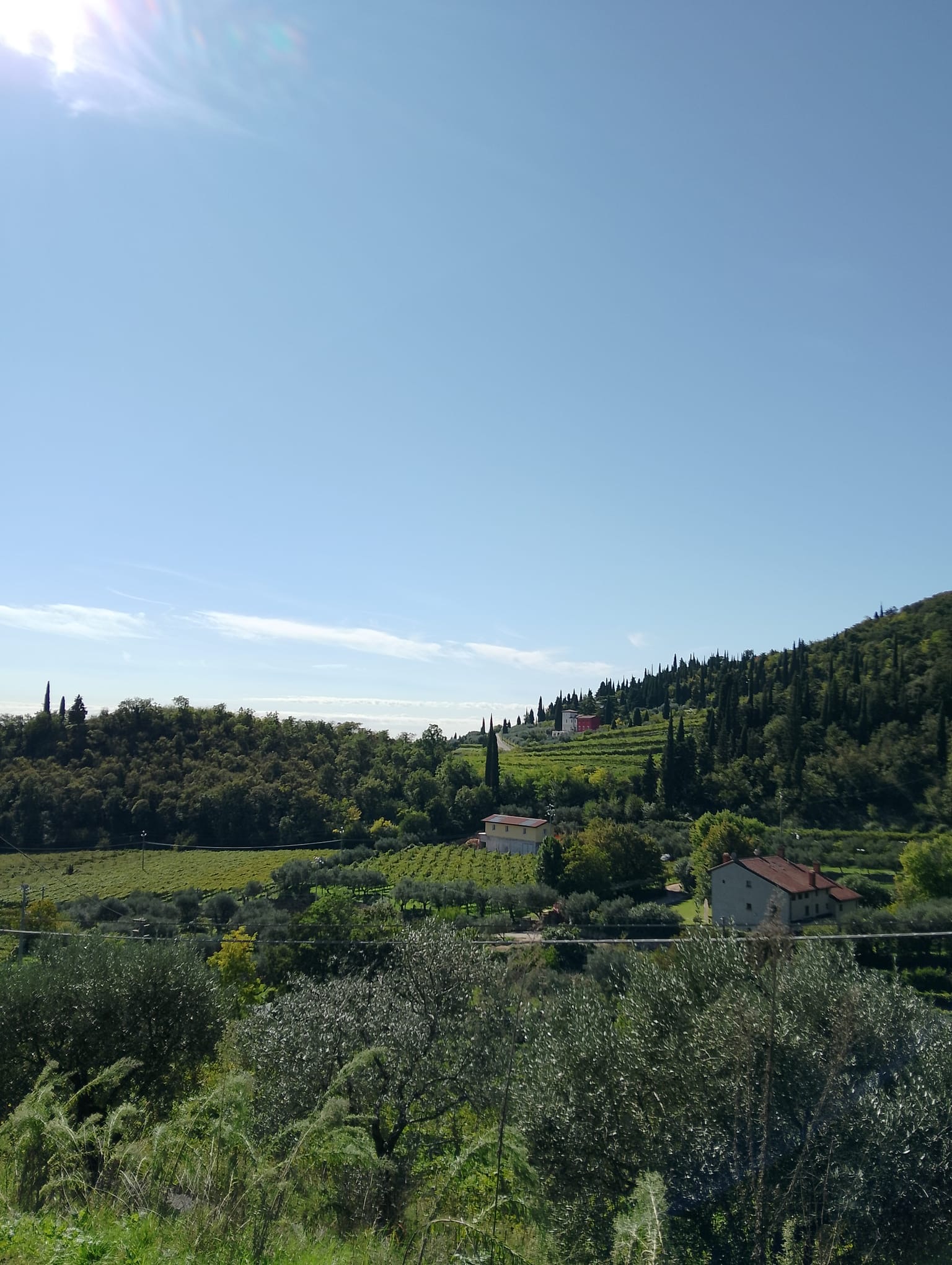 Antica Valpolicella. Niccolò Dama: questa è la mia Porsche