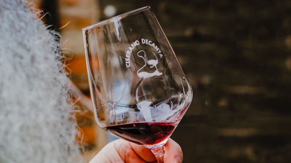 Ciserano Decanta. Il vino nasce dalle persone