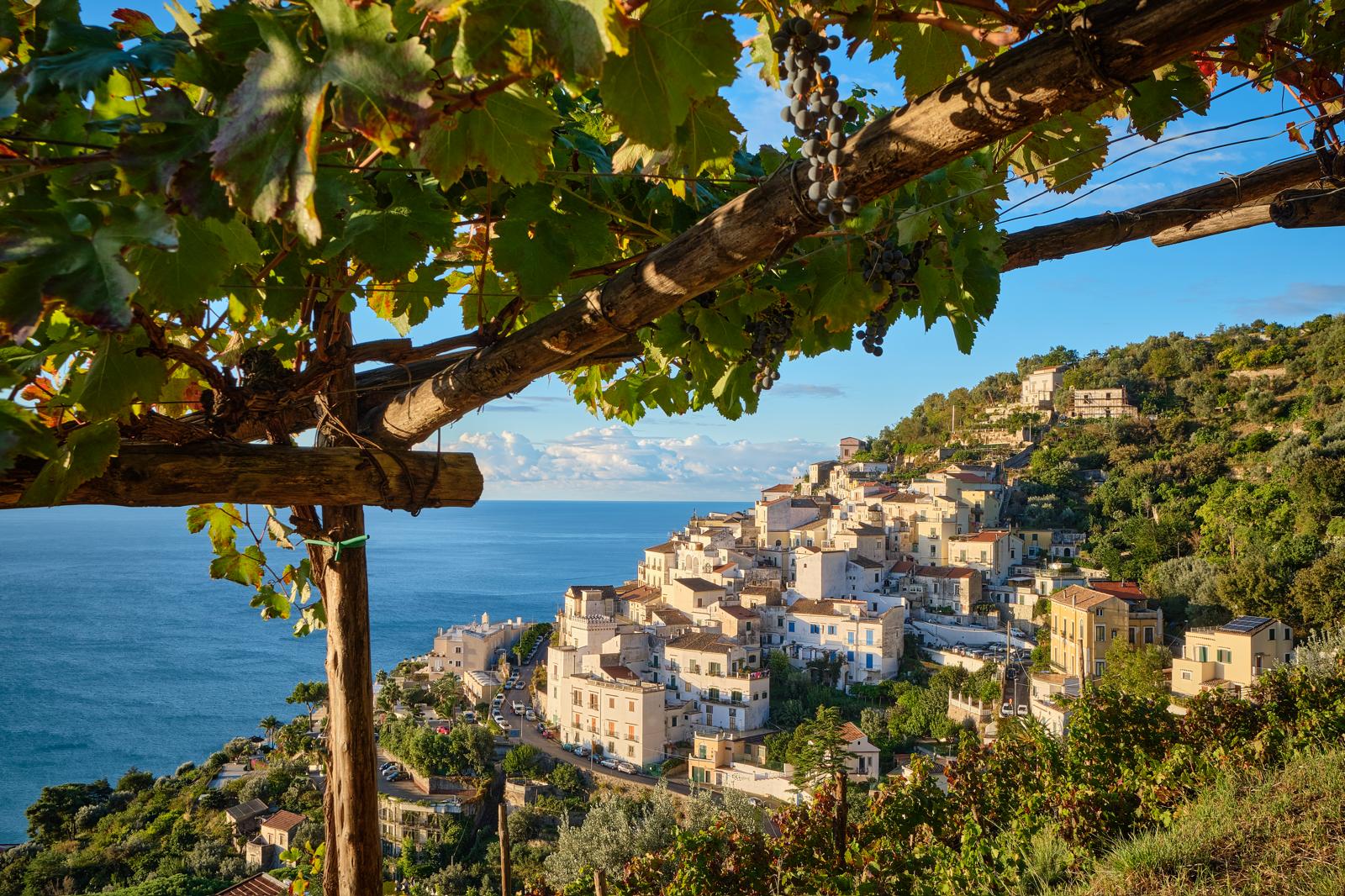 I vini di Salerno. Una strada da percorrere