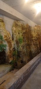 Rino Šuran. Il custode biodinamico dell’Istria