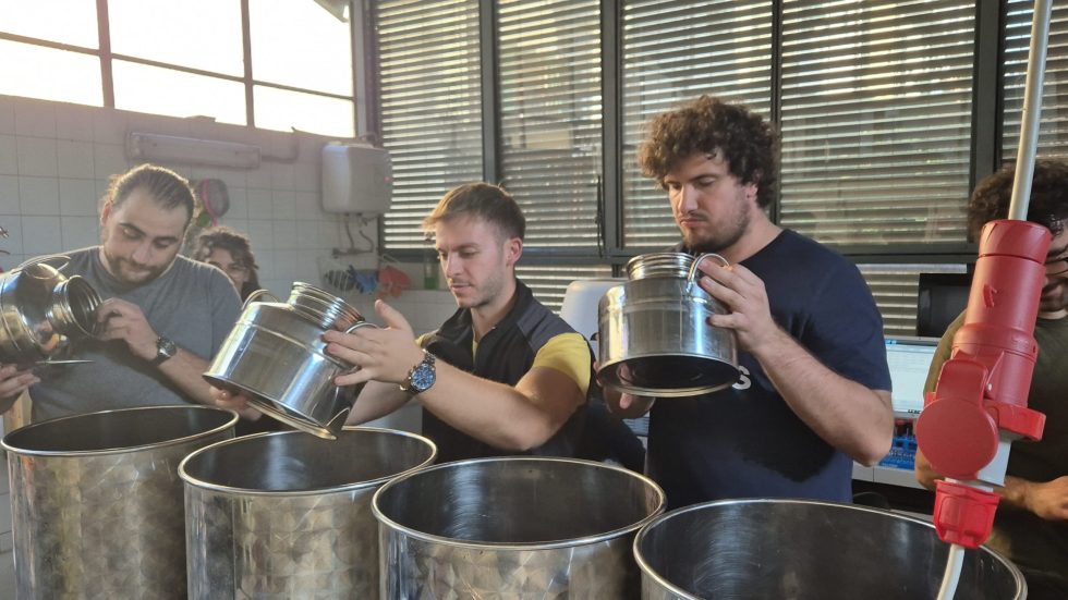 Imparare il vino. Con le mani, i piedi e un po' d'anima