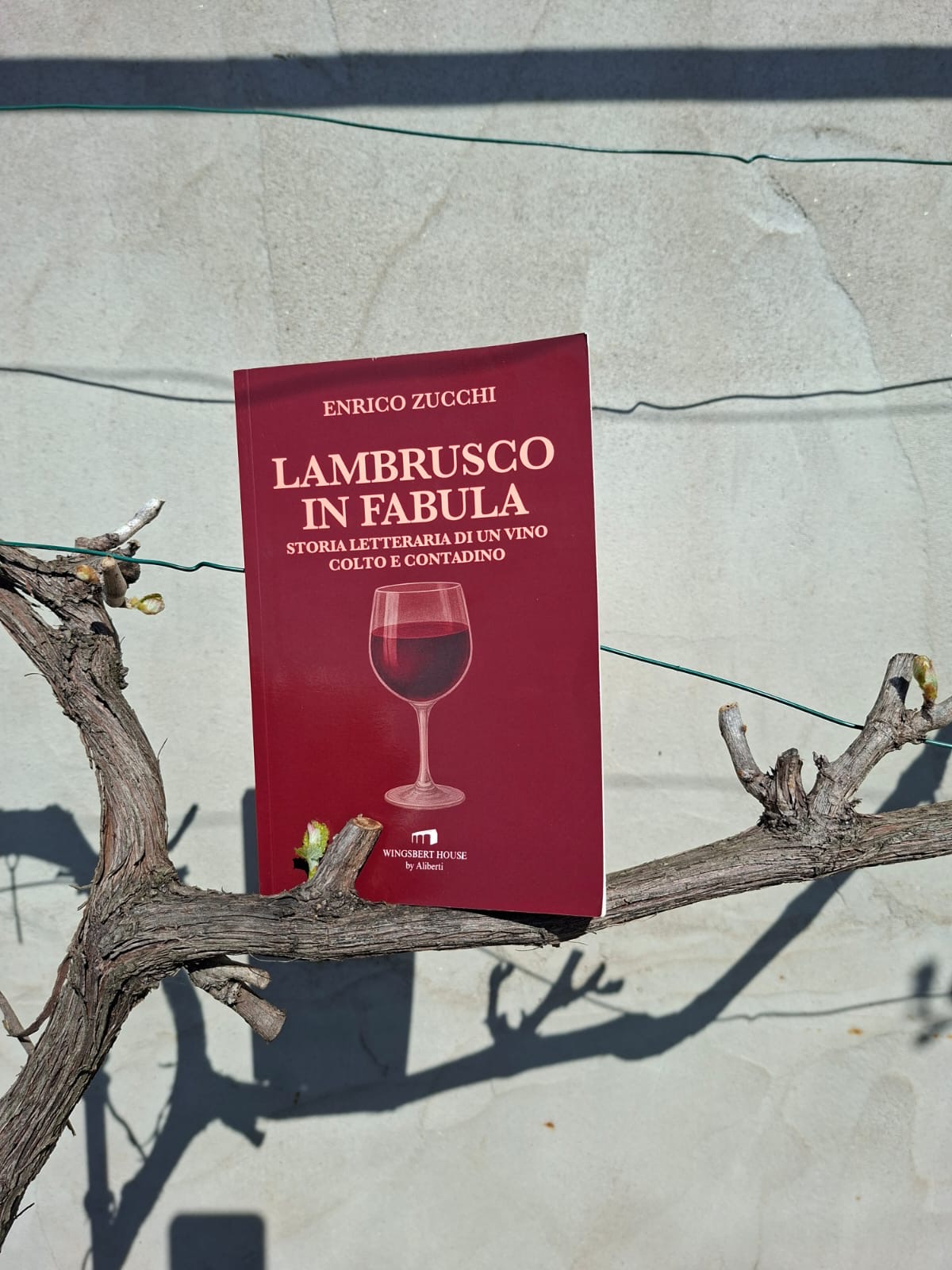 Lambrusco in Fabula. Conversazioni con Enrico Zucchi