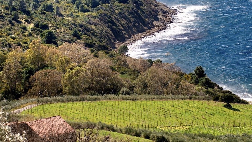 Azienda Agricola San Giovanni. Il mare insegna il silenzio