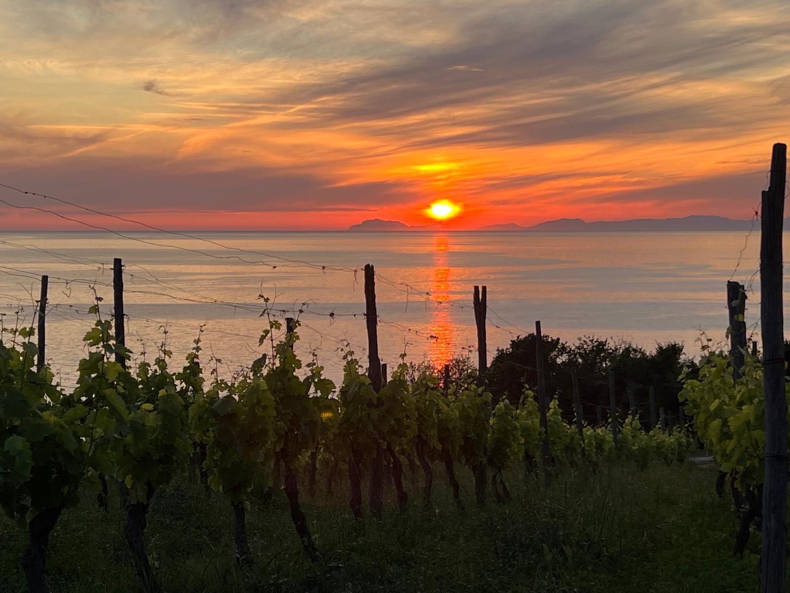 Azienda Agricola San Giovanni. Il mare insegna il silenzio