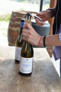 Terre di Veio. ABC della Degustazione speciale Primavera in Cantina