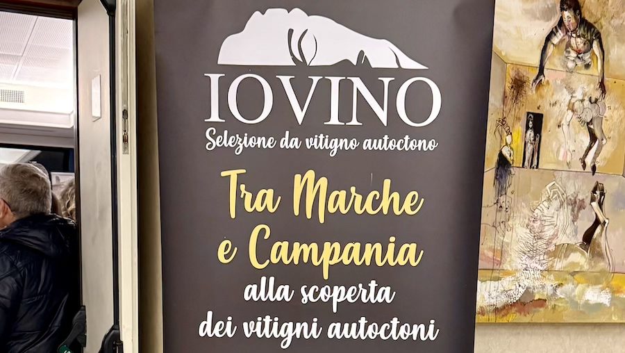 IO VINO 2026. La Marche la Campania raccontate dai vitigni autoctoni.