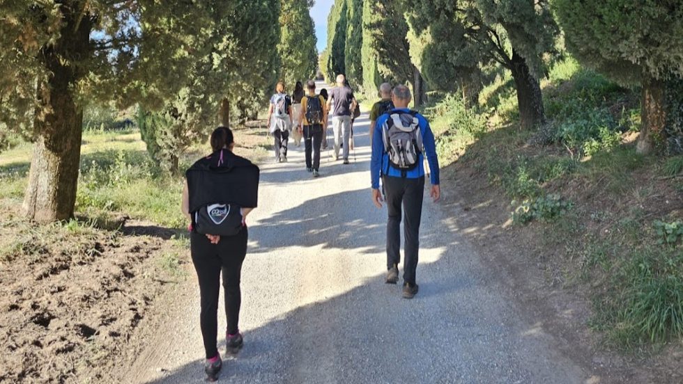 MTV Umbria presenta Umbria Wine Trekking, per camminare tra vigne e colori di primavera