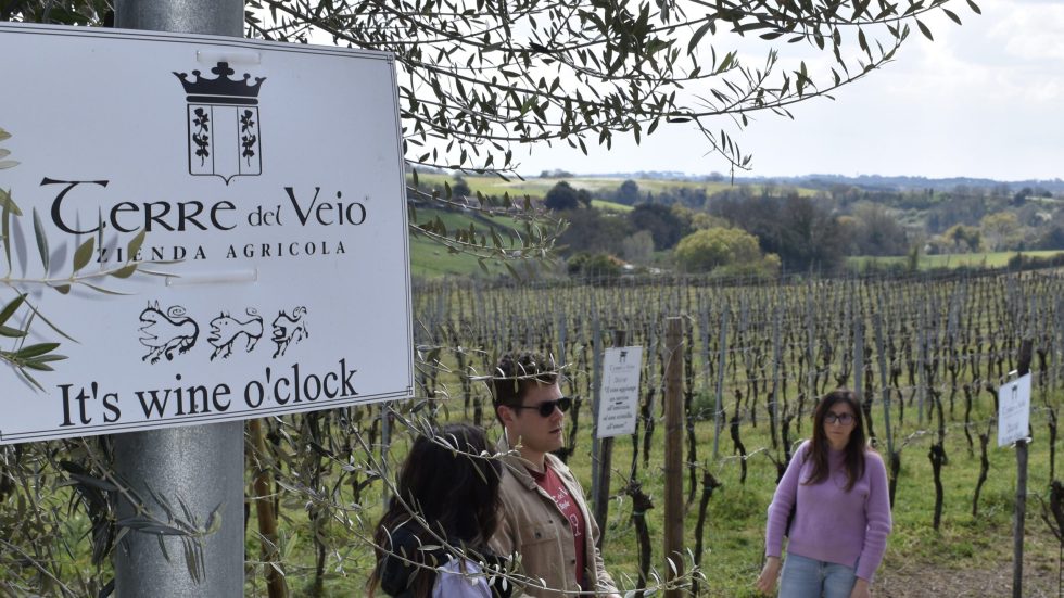 Terre di Veio. ABC della Degustazione speciale Primavera in Cantina