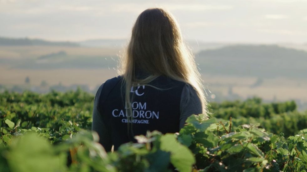 Dom Caudron. Il Meunier che racconta la Champagne